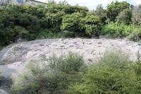 Besichtigung der Geysire von Rotorua