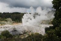 Besichtigung der Geysire von Rotorua