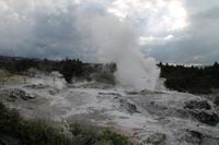 Besichtigung der Geysire von Rotorua