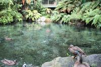 Parkanlage Rainbow Springs 