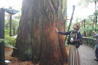 Parkanlage Rainbow Springs 