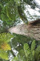 Parkanlage Rainbow Springs 