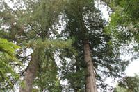 Parkanlage Rainbow Springs 