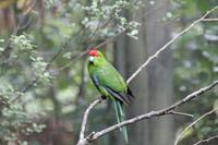 Parkanlage Rainbow Springs 