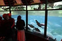 Parkanlage Rainbow Springs 