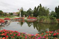 Rotorua Stadtrundfahrt