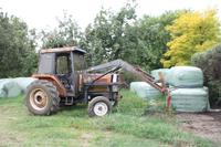 Übernachtung bei einer Gastfamilie auf einer Farm