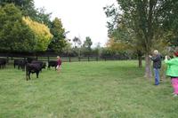 Übernachtung bei einer Gastfamilie auf einer Farm