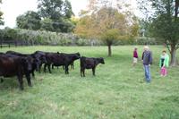 Übernachtung bei einer Gastfamilie auf einer Farm