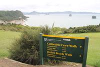 Coromandel Halbinsel 