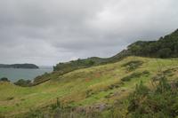 Coromandel Halbinsel - Wanderung zur Cathedral Cove