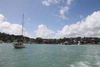 Bay of Islands - Whalewatching Tour