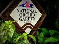 Singapur, Orchideengarten
