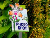 Singapur, Orchideengarten