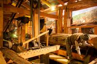 Kauri Museum, Matakohe