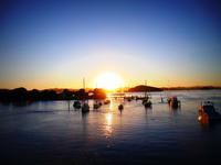Sonnenaufgang Paihia