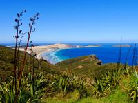 Cape Reinga