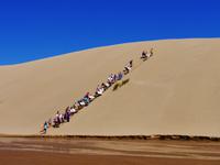 Sanddünen Northland