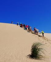 Sanddünen Northland