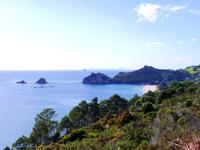 Coromandel Halbinsel