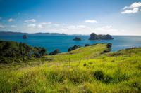 Coromandel Halbinsel
