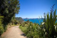 Coromandel Halbinsel