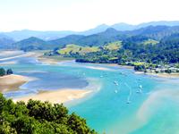 Paku Hill, Coromandel