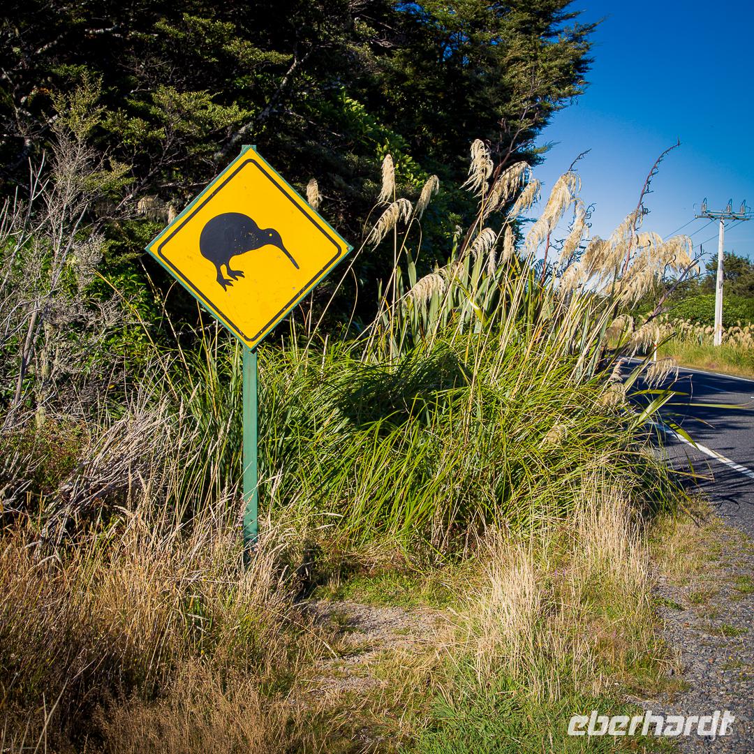 Vorsicht Kiwis!