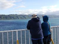 Fähre Wellington - Picton