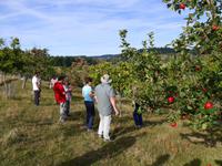 Bei Bernd zu Hause...