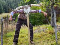 Bei Bernd zu Hause...