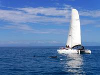 Abel Tasman Nationalpark