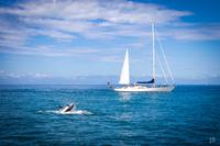 Abel Tasman Nationalpark