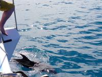 Abel Tasman Nationalpark