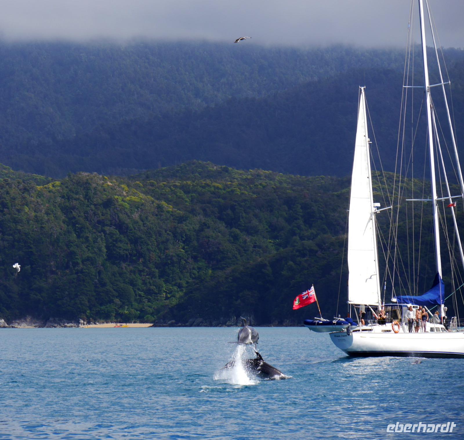 Abel Tasman Nationalpark