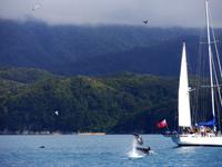 Abel Tasman Nationalpark