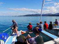 Abel Tasman Nationalpark