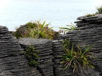 Pancake Rocks