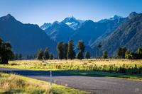 Mount Tasman
