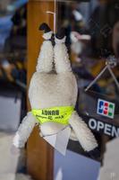 Arrowtown, Bungy-Schaf