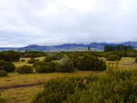 Wilderness Scientific Reserve