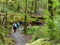 Wanderung Kepler Track