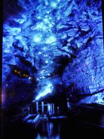 Glühwürmchen Te Anau