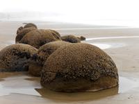 Moeraki Boulders