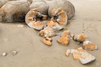 Moeraki Boulders