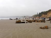 Moeraki Boulders