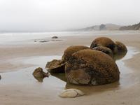 Moeraki Boulders