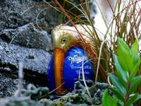 Happy Kiwi Easter!