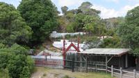 1163 Rotorua - Te Puia - Maori-Gräber