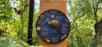 117 Kiwistation Te Puia